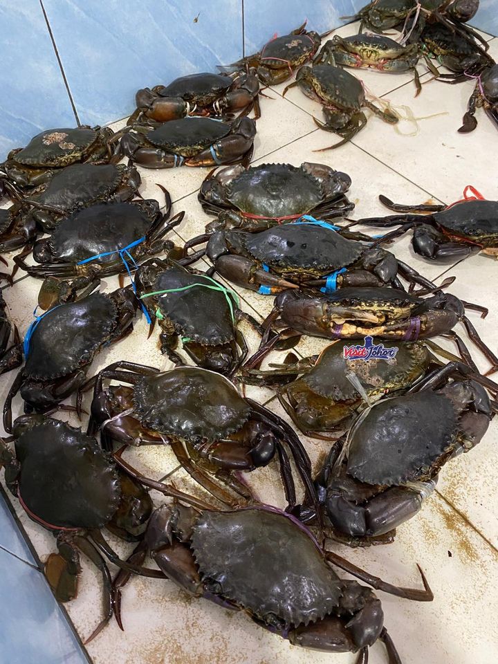 117273186_3869486896401169_1374504424874128384_o 117273186_3869486896401169_1374504424874128384_o