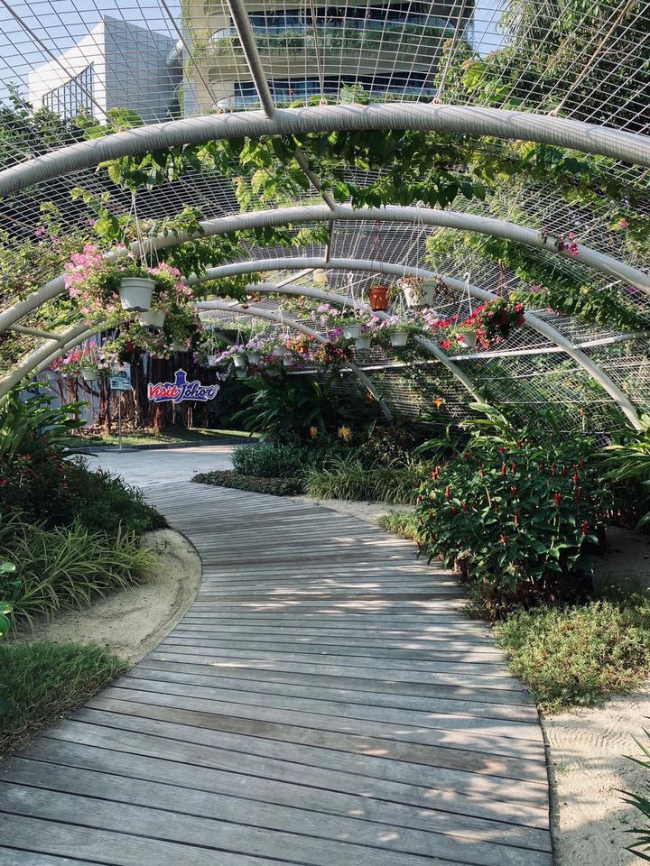 118224811_3917490284934163_5905415216503108214_o