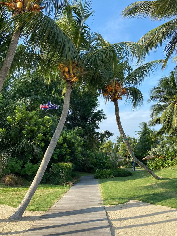 118511336_3917490281600830_3683000212351294411_o